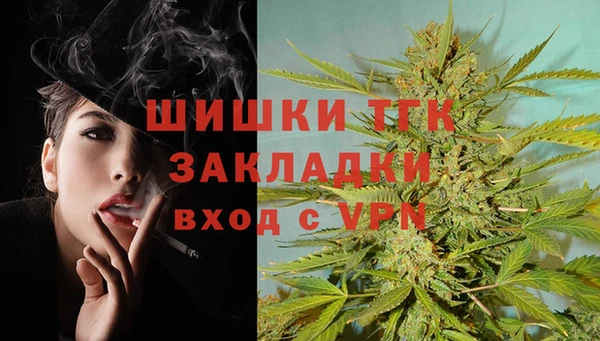 ешки Надым