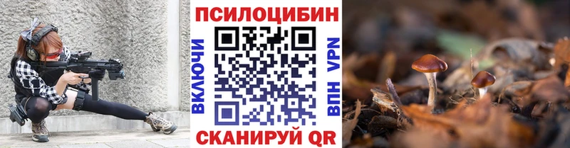 Галлюциногенные грибы Psilocybe  Полтавская 